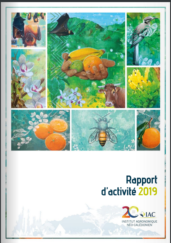 Rapport d'activité 2019