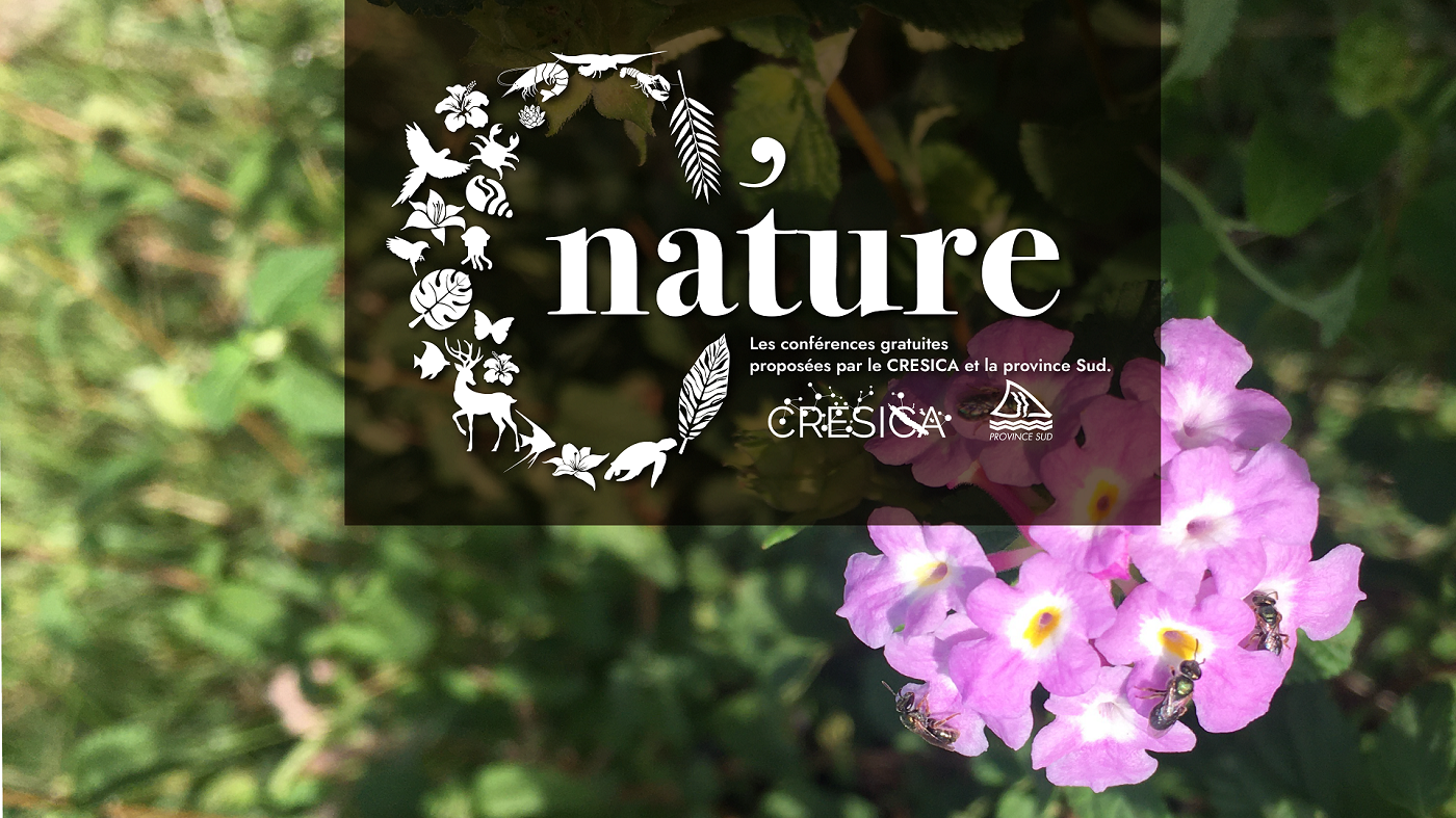 affiche générique C'Nature
