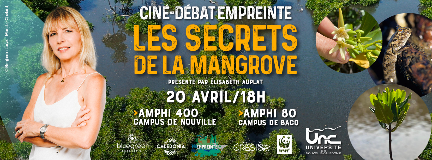 Affiche empreinte mangoves