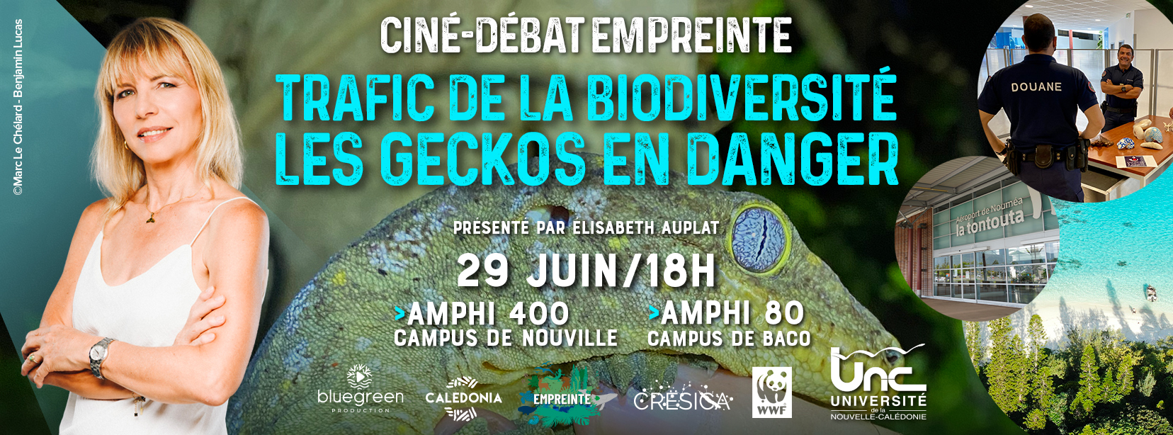 Affiche trafic de la biodiversité