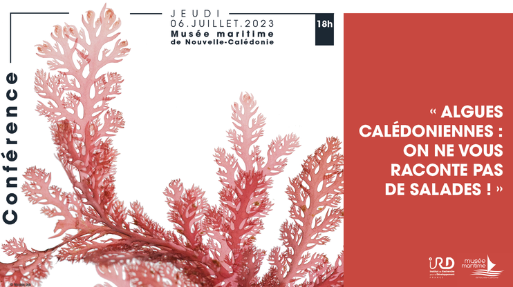 Affiche conférence Algues Calédoniennes
