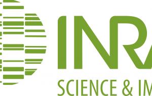 Logo INRA © wikipédia