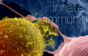 MOOC Innate Immunity - Institut Pasteur