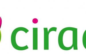 Cirad