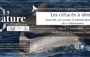conférence affiche