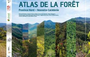 Atlas des forêt – Province Nord