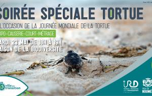 Affiche conférence tortue