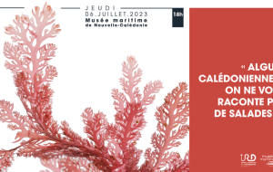 Affiche conférence Algues Calédoniennes