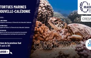 Affiche conférence tortues marines